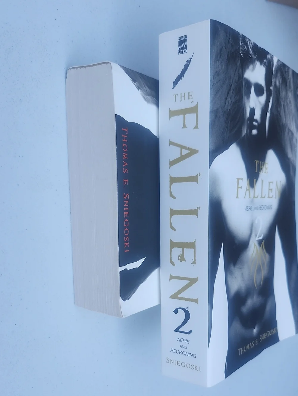 The Fallen Book Set - Picture 2 of 5